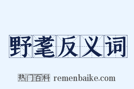 野耄反义词是什么意思的图片